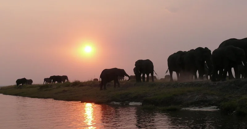 La Namibie et le Botswana : les expériences uniques (avec un vrai coût)